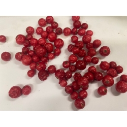 Porzeczka Czerwona Lio. 1 Kg